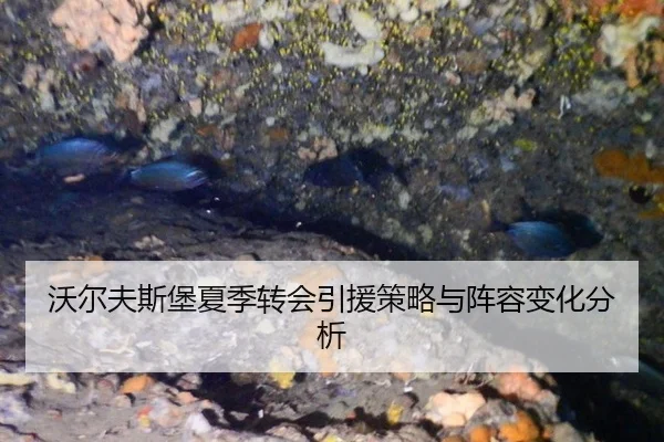 wo-er-fu-si-bao-xia-ji-zhuan-hui-yin-yuan-ce-lve-yu-zhen-rong-bian-hua-fen-xi-2-600.jpg